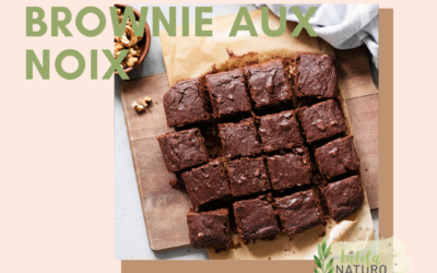 Brownie aux noix (adapté végan et sans gluten)