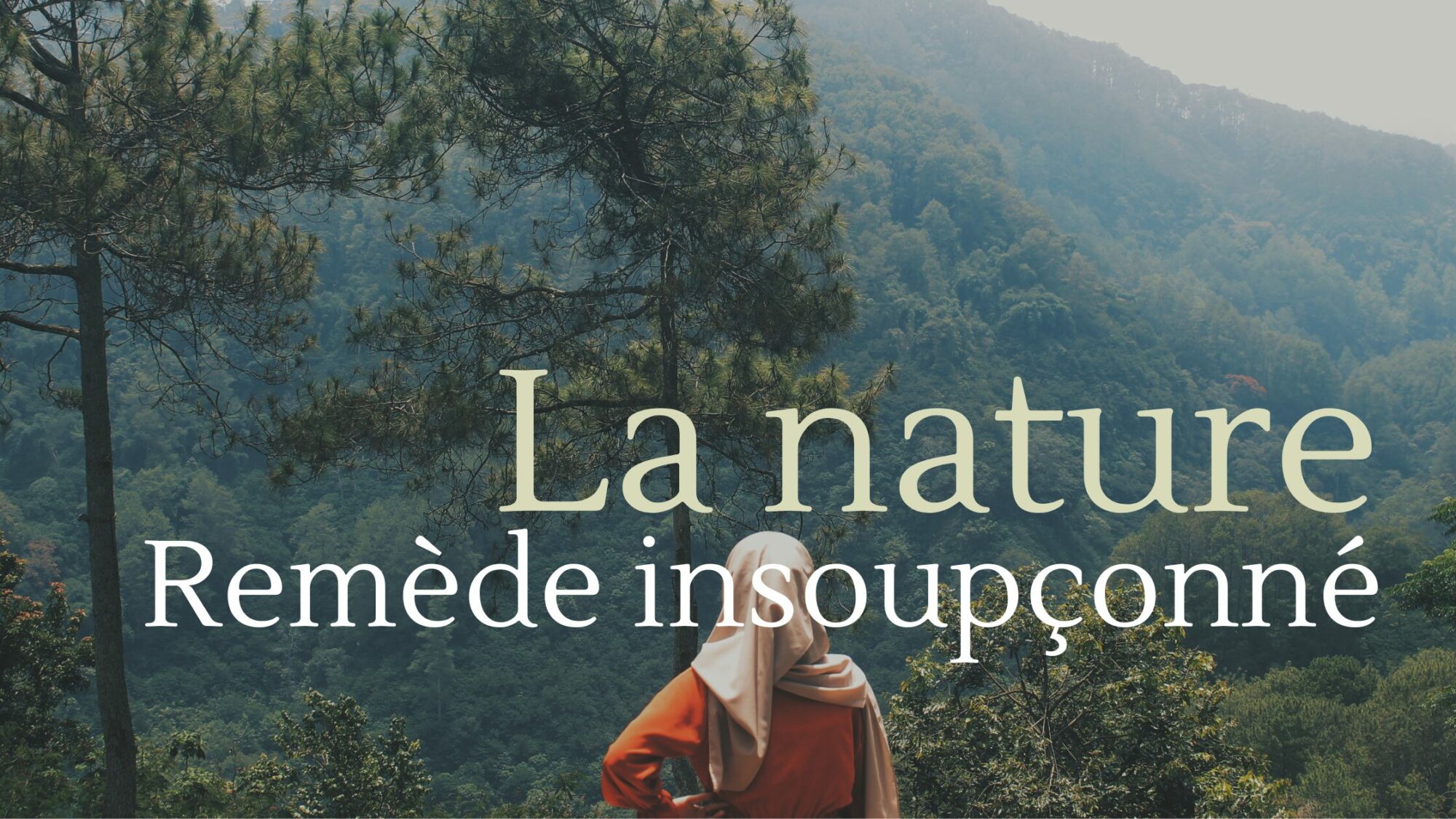 Lire la suite à propos de l’article Retrouve ton équilibre grâce à la nature : une alliée puissante pour apaiser le stress, les émotions et renforcer ta concentration