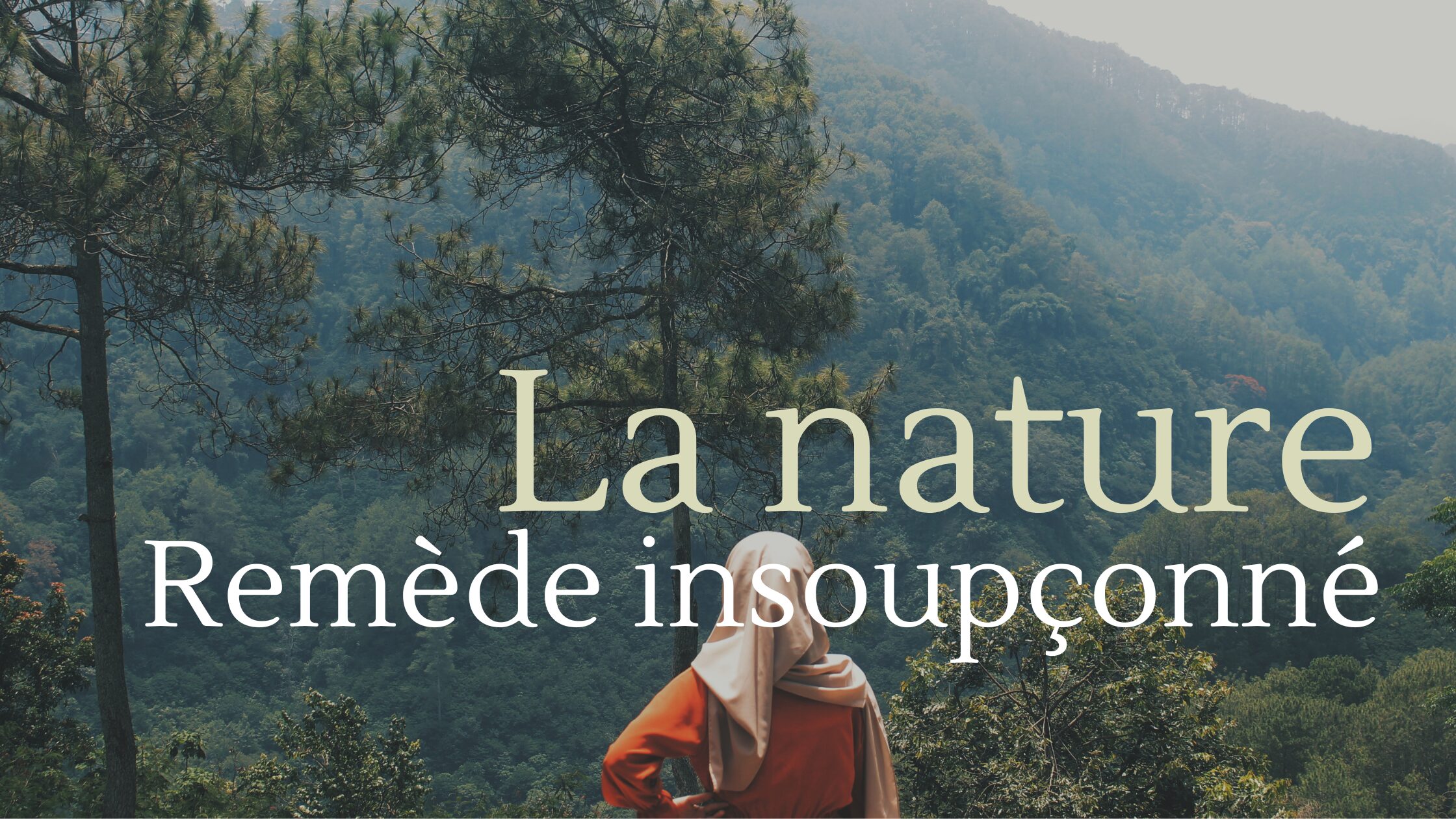 marcher pour renforcer ton système immunitaire sylviothérapie, hijama, musulmane, naturopathe musulmane.
