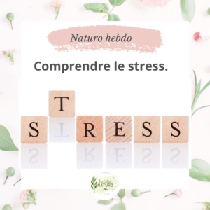 Lire la suite à propos de l’article Comprendre le stress.