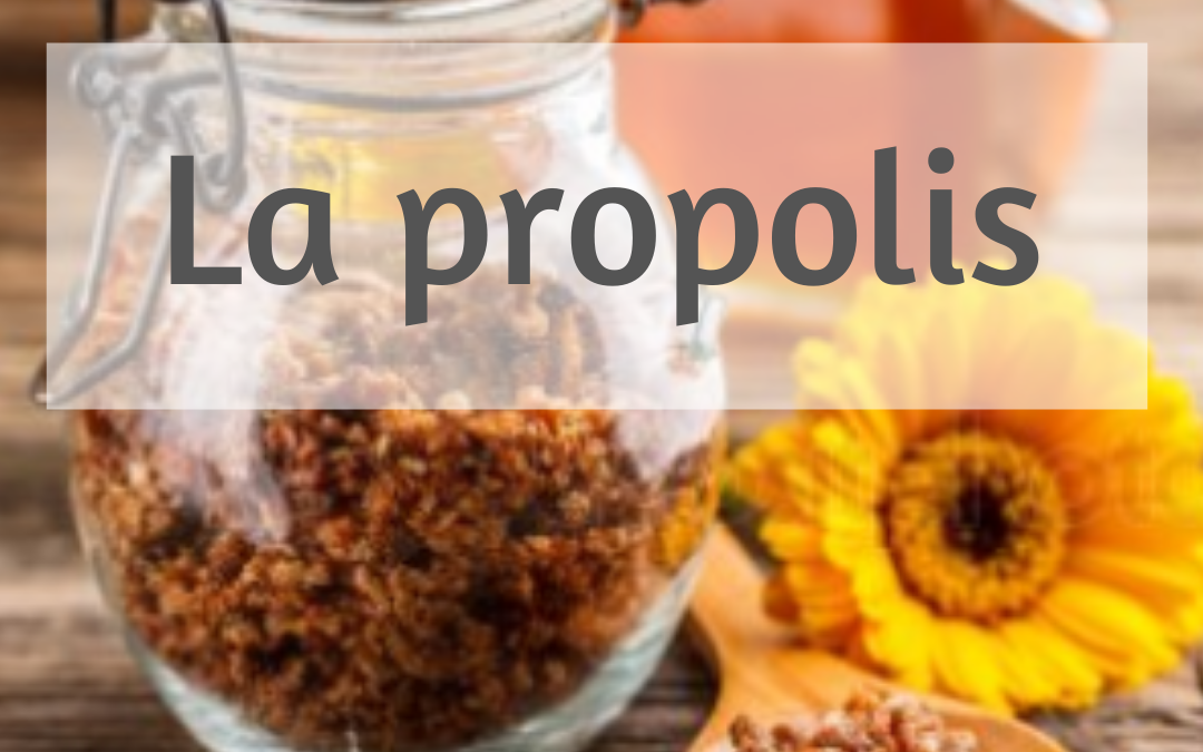 La propolis