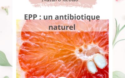 L’extrait de pépin de pamplemousse : un antibiotique naturel.