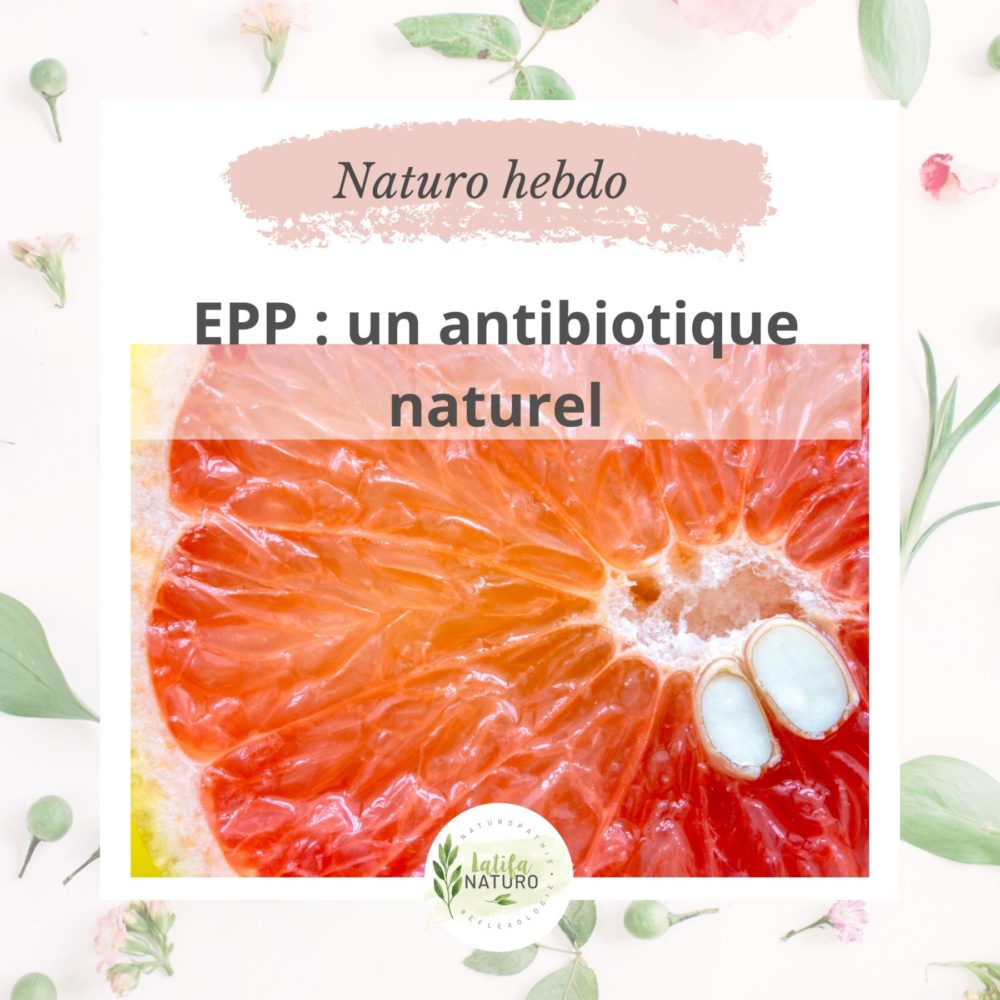 Lire la suite à propos de l’article L’extrait de pépin de pamplemousse : un antibiotique naturel.