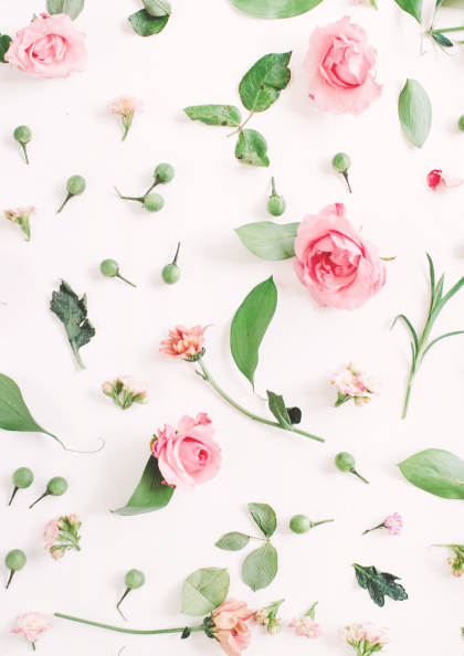 fond roses et plantespetite fot fertilité conception grossesse ménopause