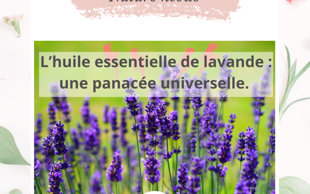 Huile essentielle de lavande officinale