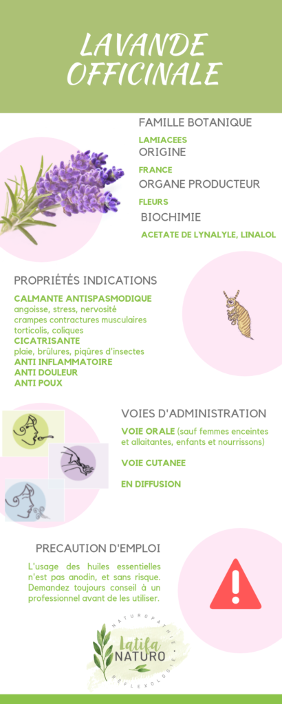 Huile essentielle lavande : bienfaits & indication de lavande officinale