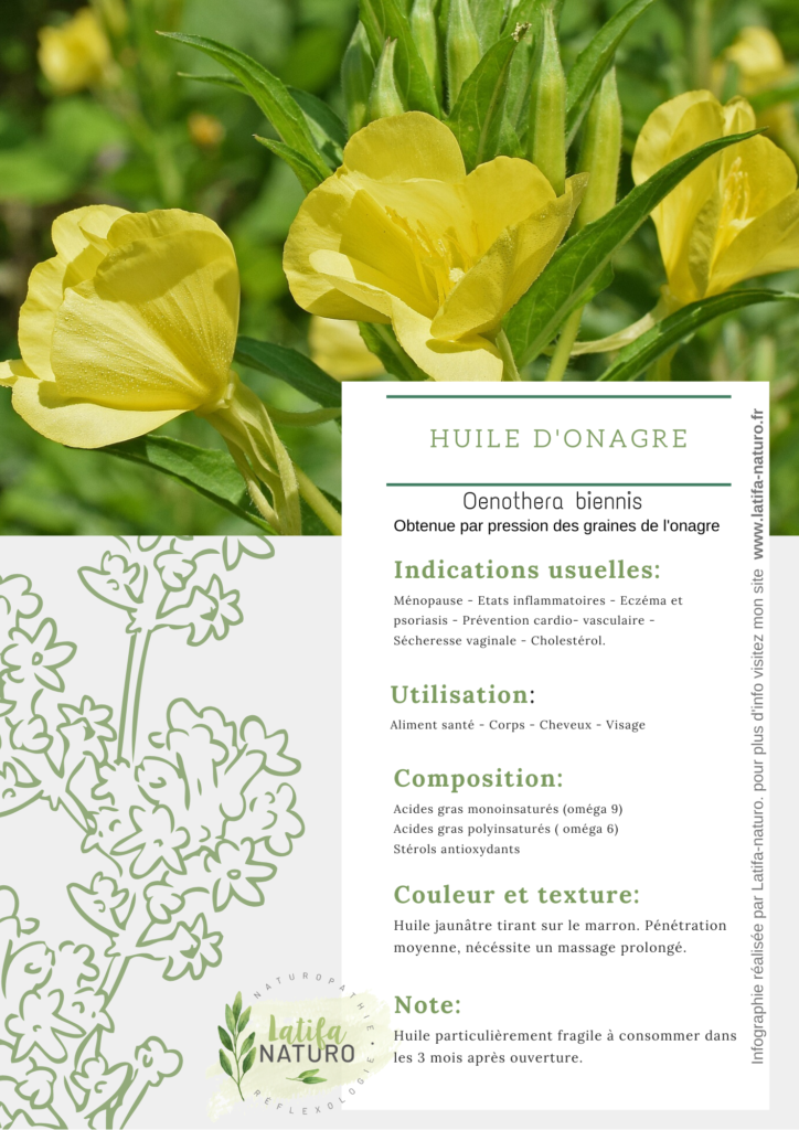 fiche focus huile d'onagre