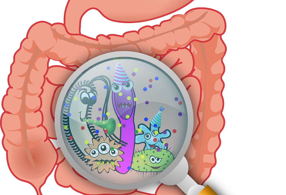 Microbiote naturopathie Lens Lille Douai