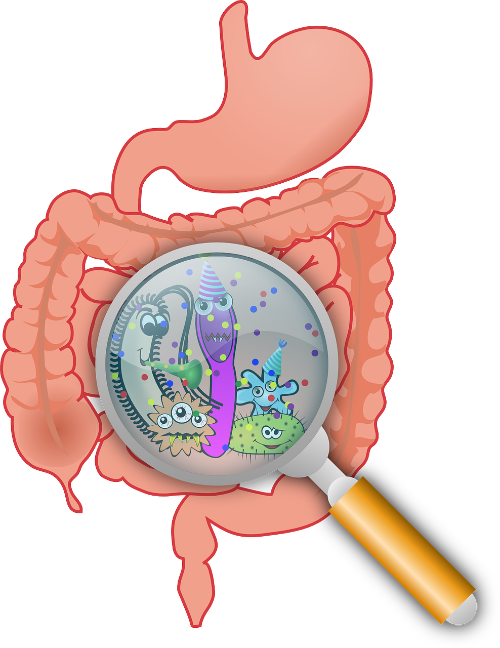 Lire la suite à propos de l’article Le microbiote